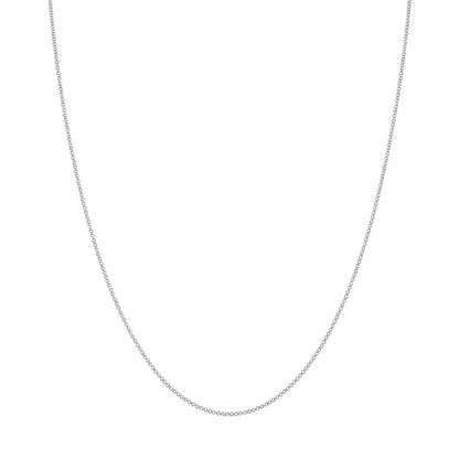 A delicate silver chain necklace shown against a plain white background.